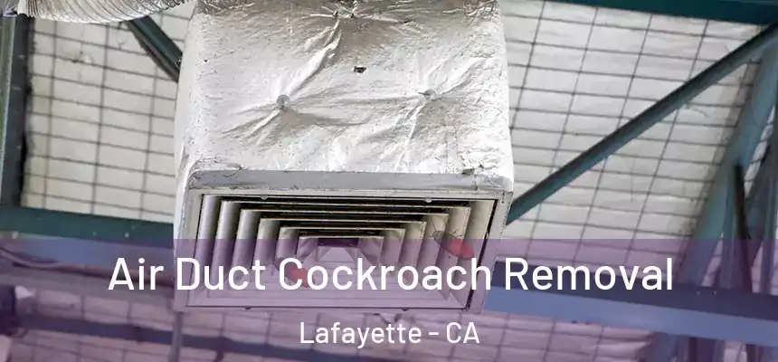 Air Duct Cockroach Removal Lafayette - CA