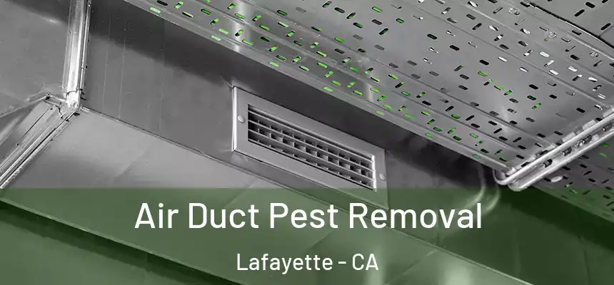 Air Duct Pest Removal Lafayette - CA