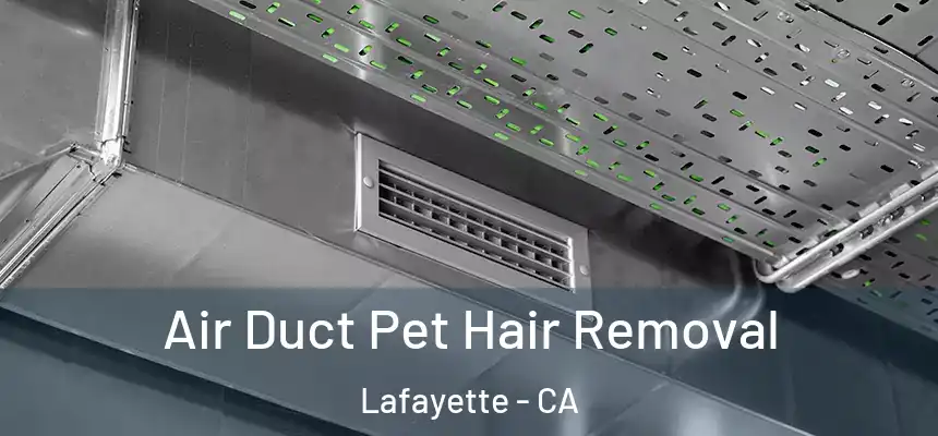 Air Duct Pet Hair Removal Lafayette - CA