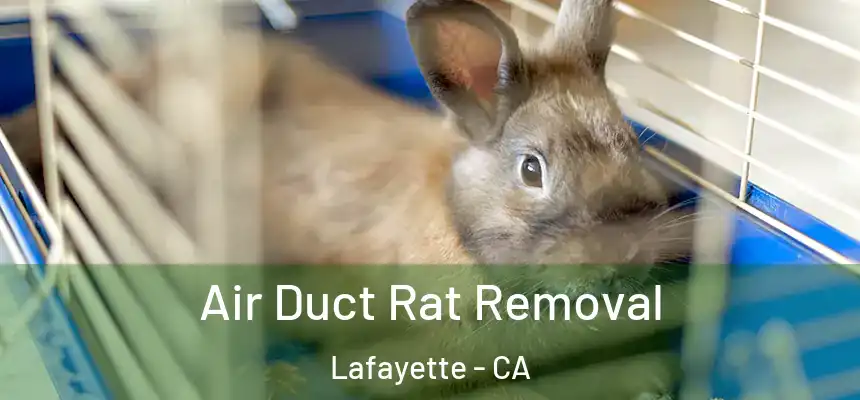 Air Duct Rat Removal Lafayette - CA