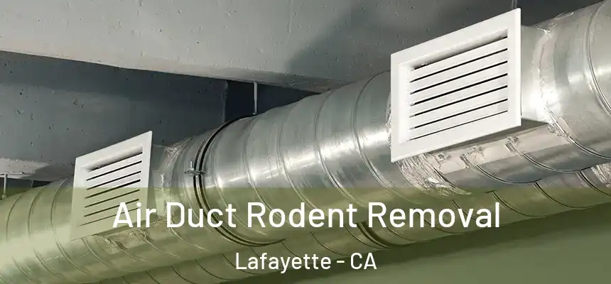 Air Duct Rodent Removal Lafayette - CA