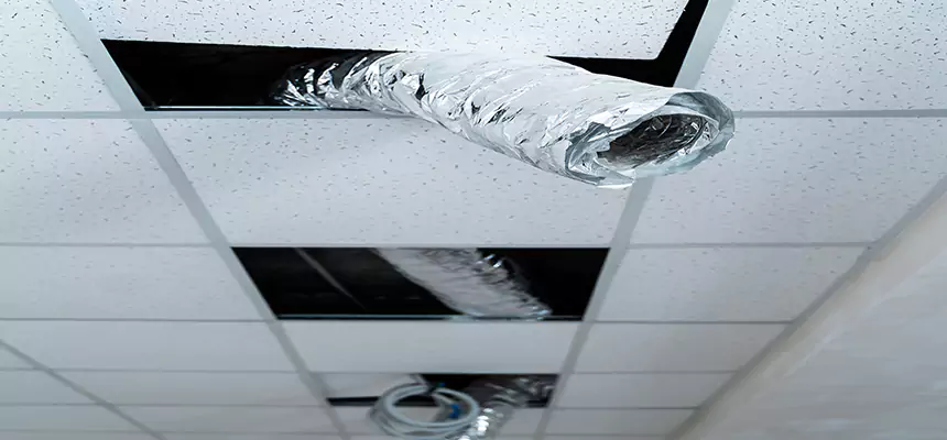 Our Air Duct Pet Hair Removal Services in Lafayette, CA