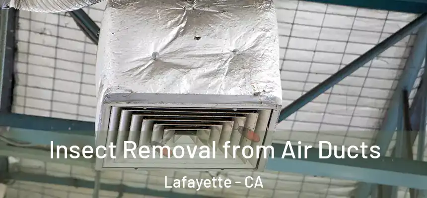  Insect Removal from Air Ducts Lafayette - CA