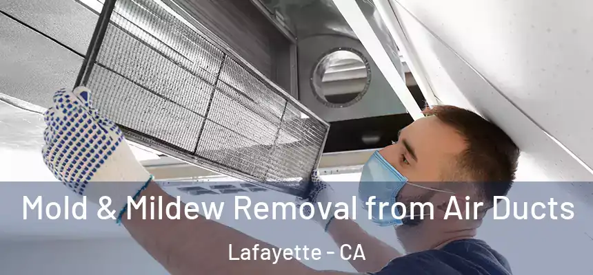  Mold & Mildew Removal from Air Ducts Lafayette - CA