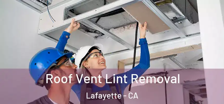  Roof Vent Lint Removal Lafayette - CA