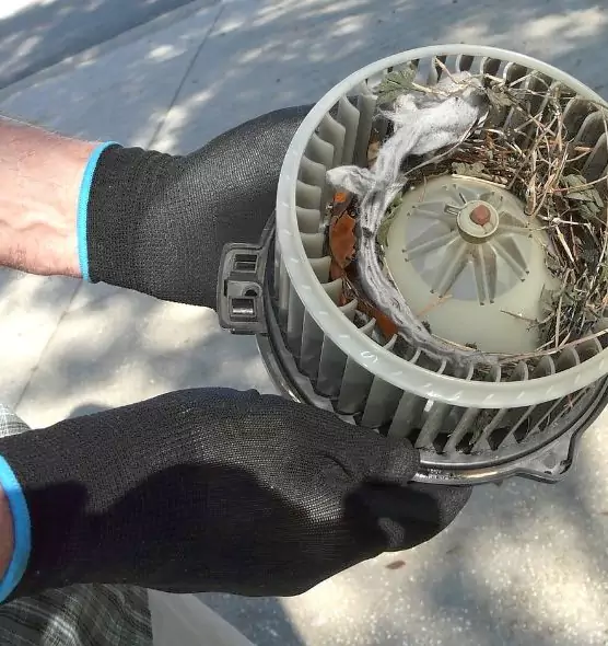 About Air Duct Rat Removal in Lafayette, CA