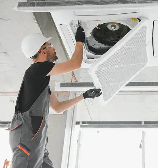 About Air Duct Rodent Removal in Lafayette, CA