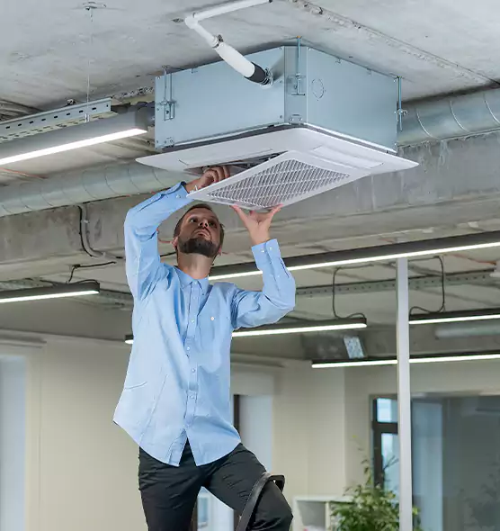 Advanced Rodent Droppings In Vents in Lafayette, CA