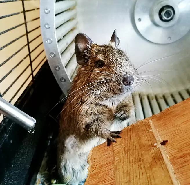 Why Homeowners & Businesses Trust Us Lafayette, CA?