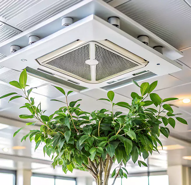 Why Homeowners & Businesses Trust Us in Lafayette, CA