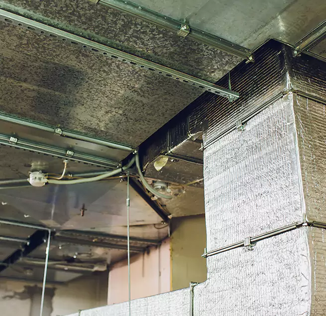 Why Homeowners & Businesses Trust Us in Lafayette, CA?